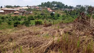 Price Cut: 50x100 at Lukwanga Ssentema Road 1.3km From Center