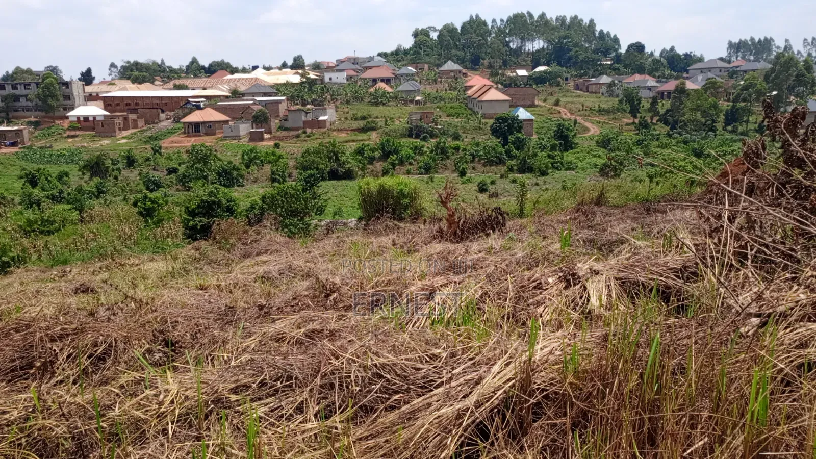 Price Cut: 50x100 at Lukwanga Ssentema Road 1.3km From Center