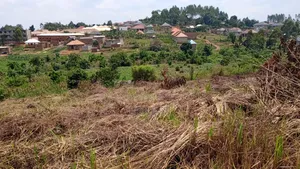 Price Cut: 50x100 at Lukwanga Ssentema Road 1.3km From Center