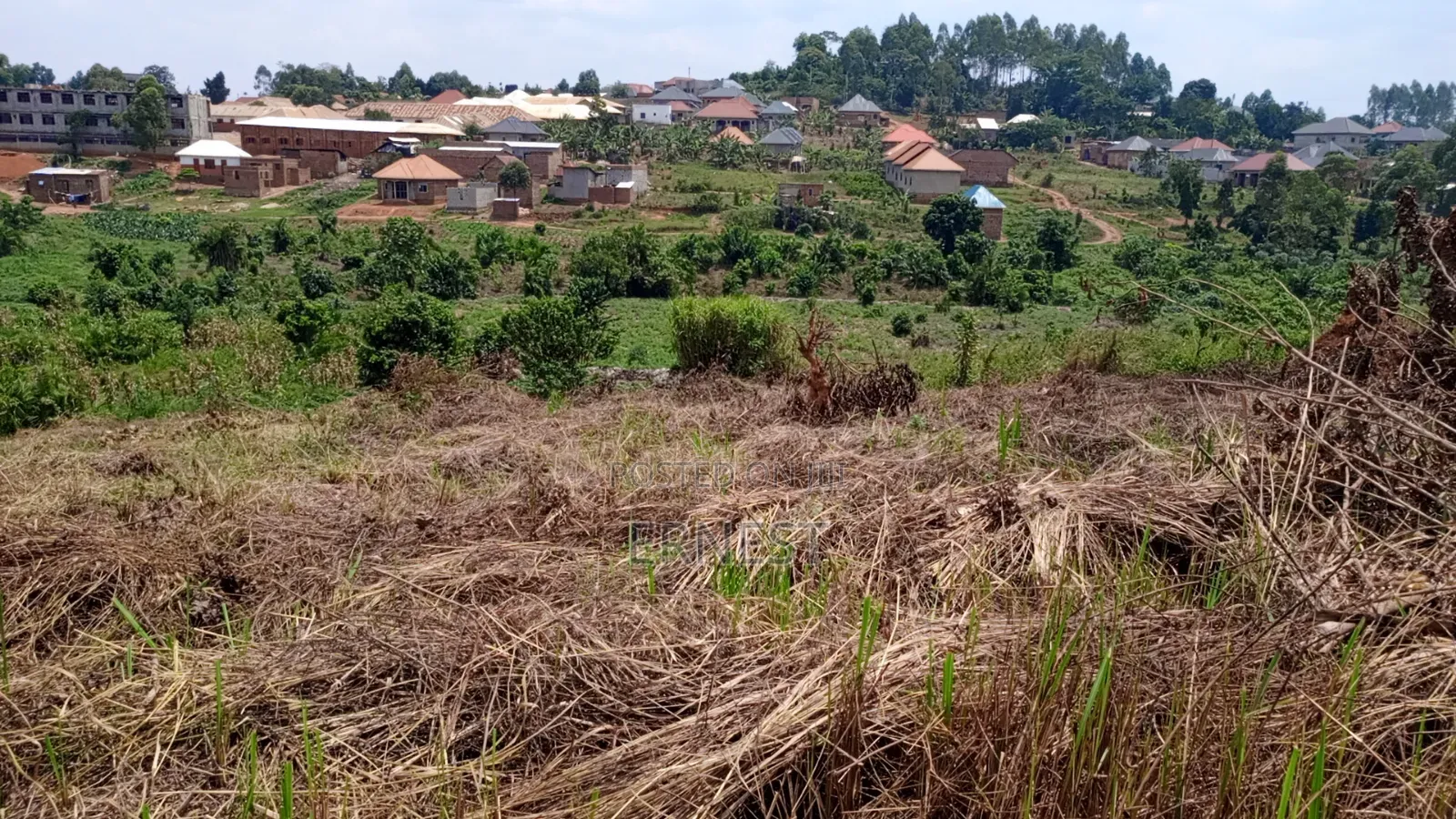 Price Cut: 50x100 at Lukwanga Ssentema Road 1.3km From Center