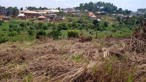 Price Cut: 50x100 at Lukwanga Ssentema Road 1.3km From Center