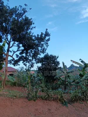 Plot for Sale
