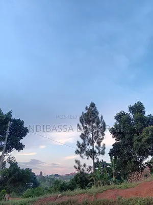 Plot for Sale