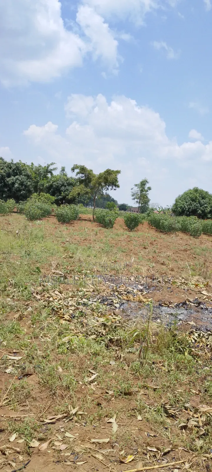 50x100ft Plot for Sale in Kamonkoli Ssekulo