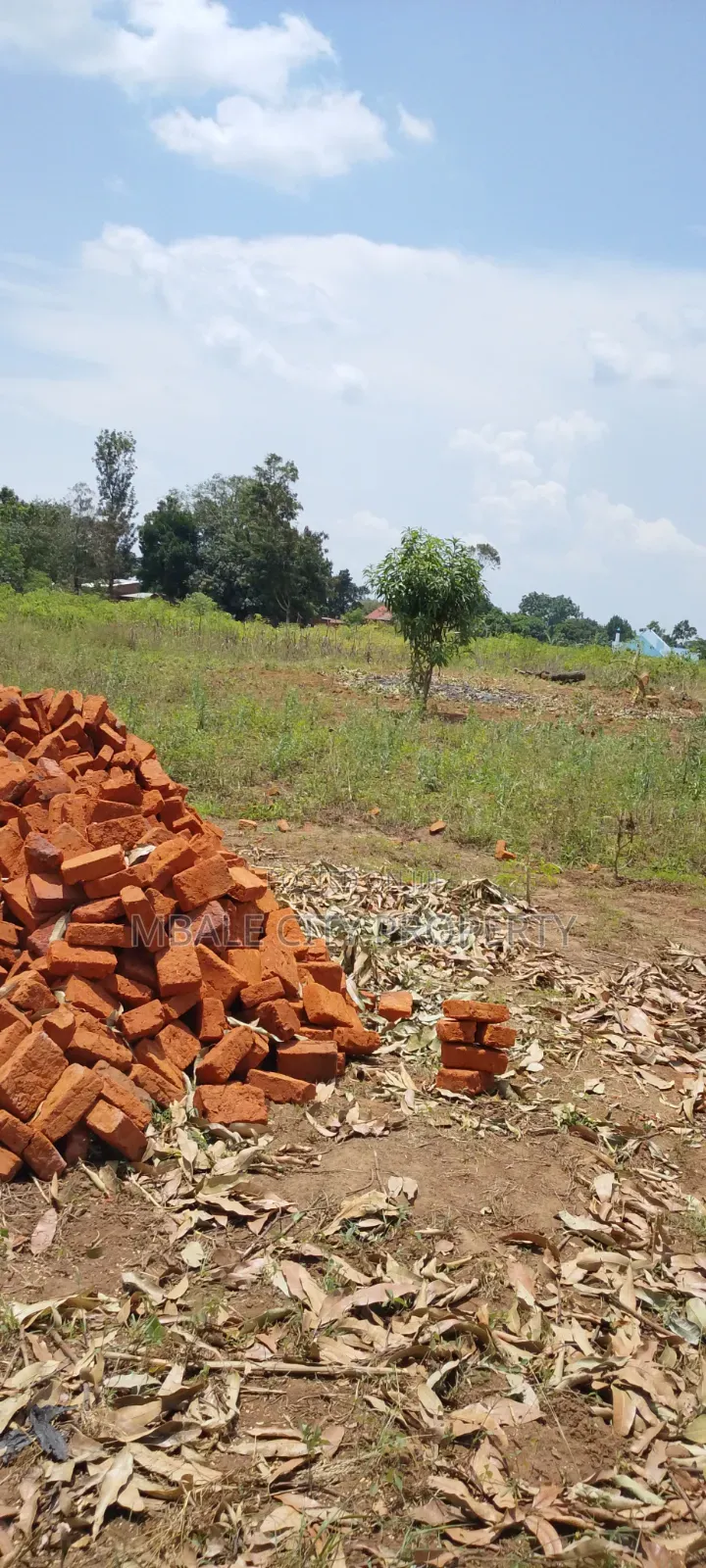 50x100ft Plot for Sale in Kamonkoli Ssekulo