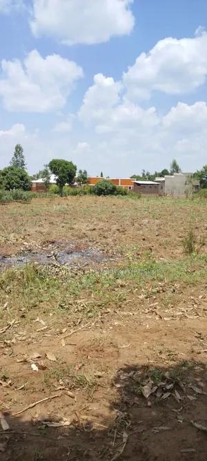 50x100ft Plot for Sale in Kamonkoli Ssekulo