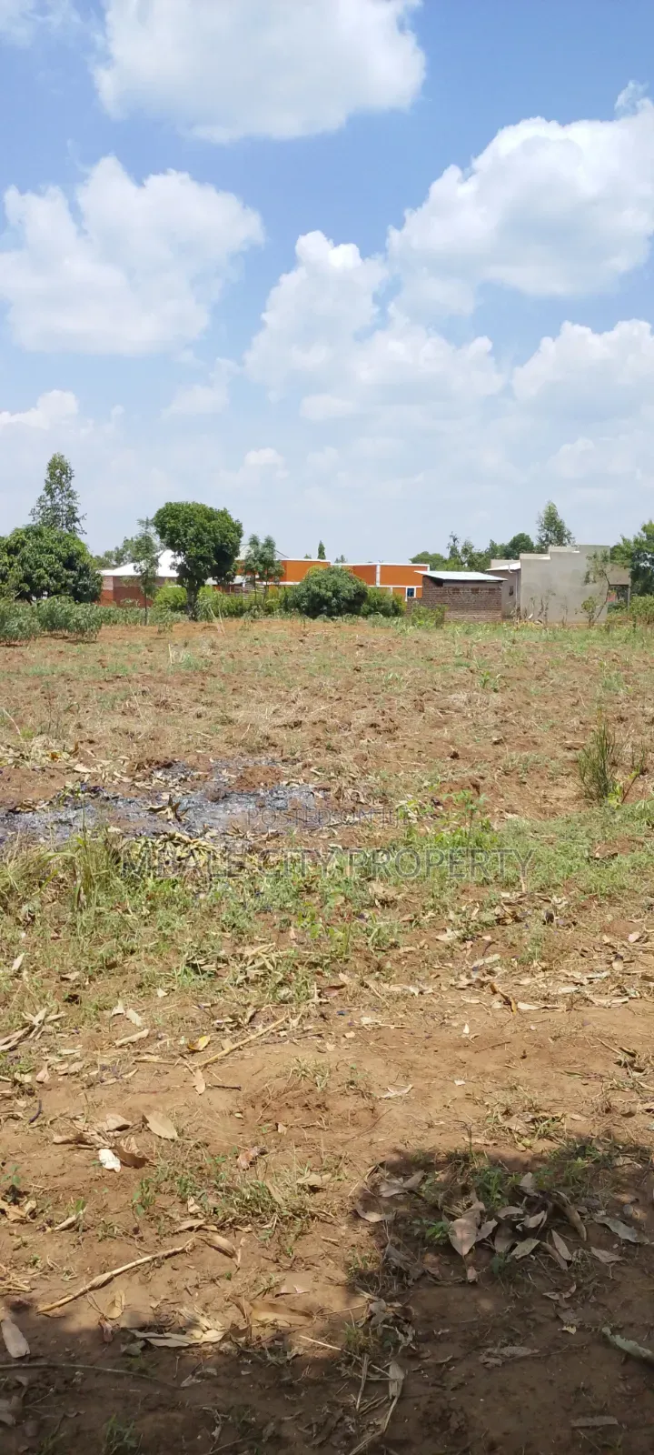 50x100ft Plot for Sale in Kamonkoli Ssekulo