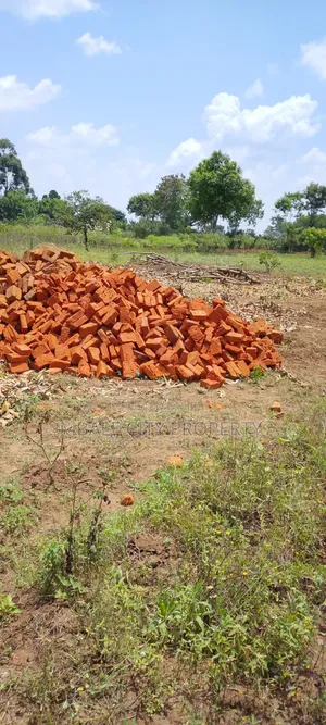 50x100ft Plot for Sale in Kamonkoli Ssekulo