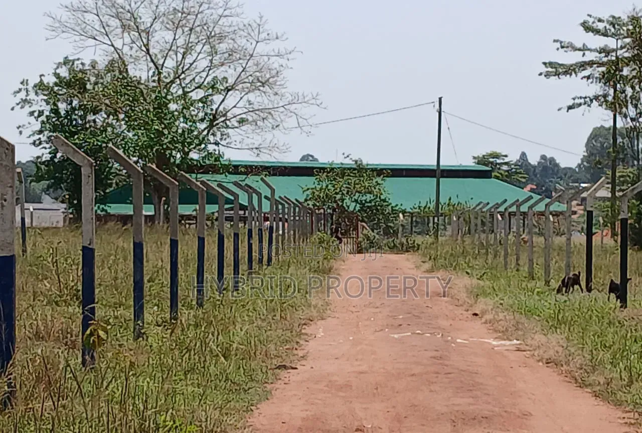 Prime Plots for Sale at Busiika~Wabikokoma Modern Estate~Gayaza Road.