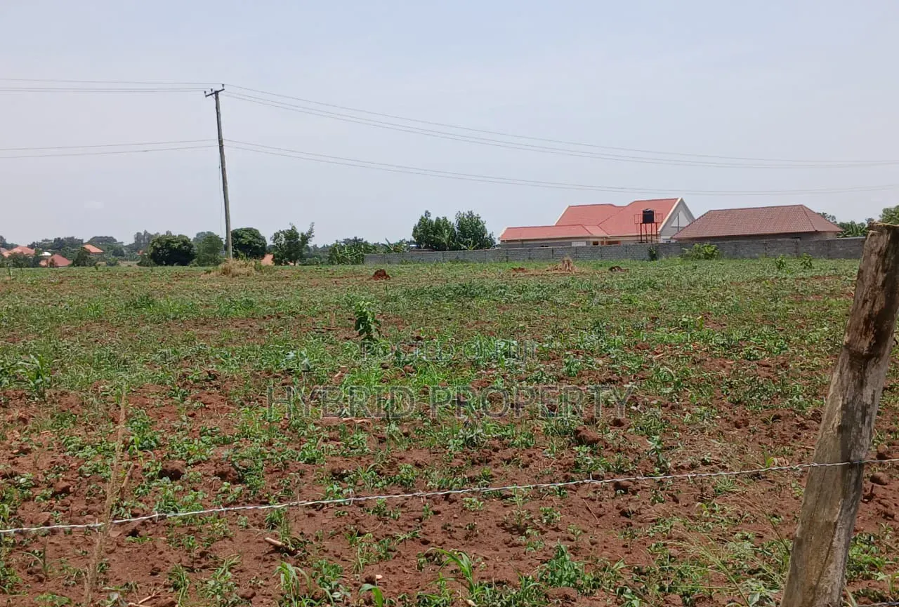 Prime Plots for Sale at Busiika~Wabikokoma Modern Estate~Gayaza Road.