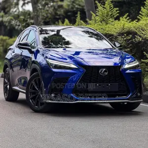 Lexus NX 2022 Blue