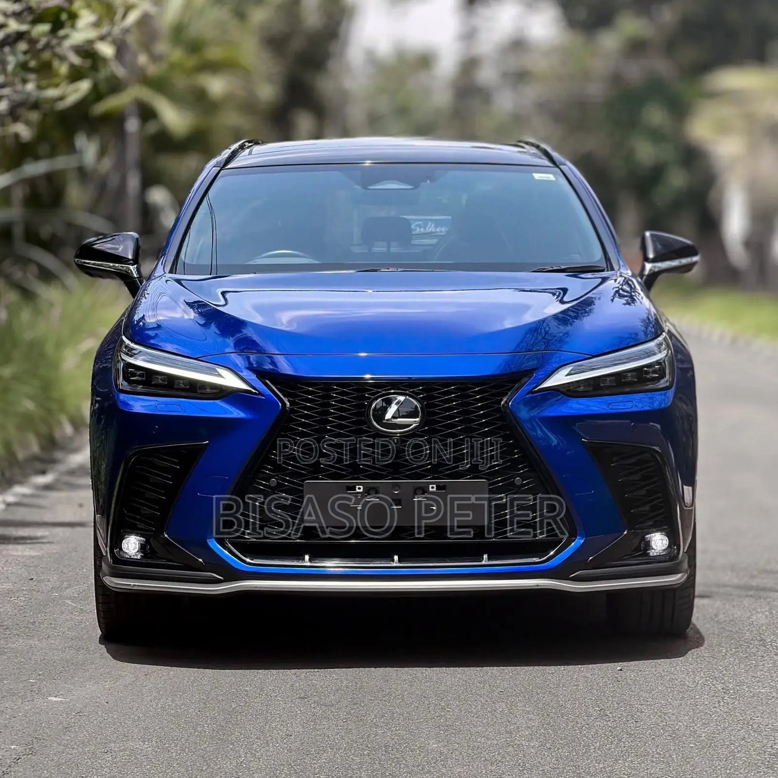 Lexus NX 2022 Blue