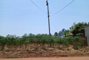 2 Commercial Plots for Sale at Busiika~Wabikokoma Estate~Gayaza Road.