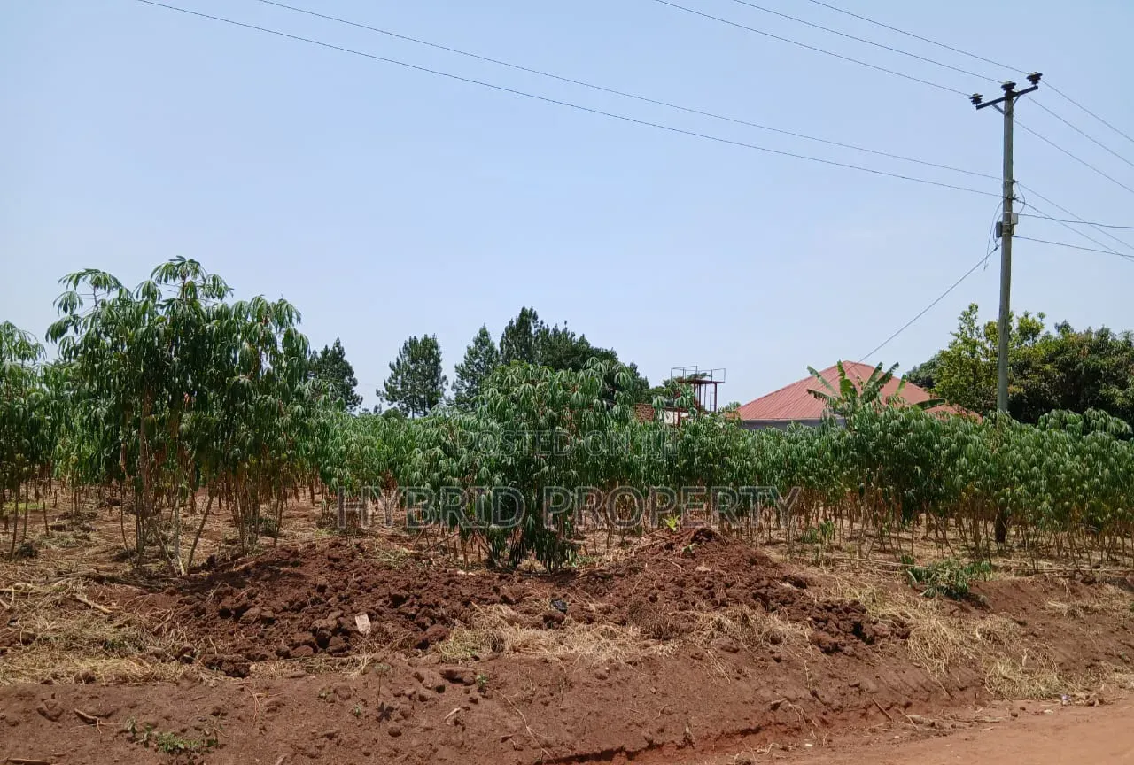 2 Commercial Plots for Sale at Busiika~Wabikokoma Estate~Gayaza Road.