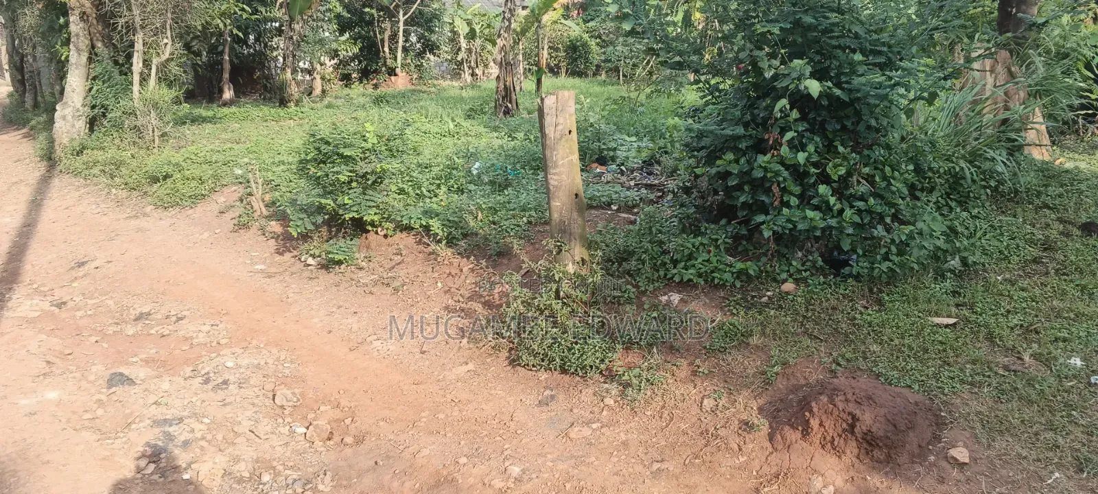 Plot of Land Milo 50*100 at Kakiri Mpegwe