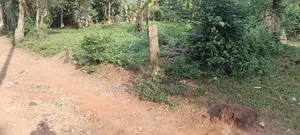 Plot of Land Milo 50*100 at Kakiri Mpegwe