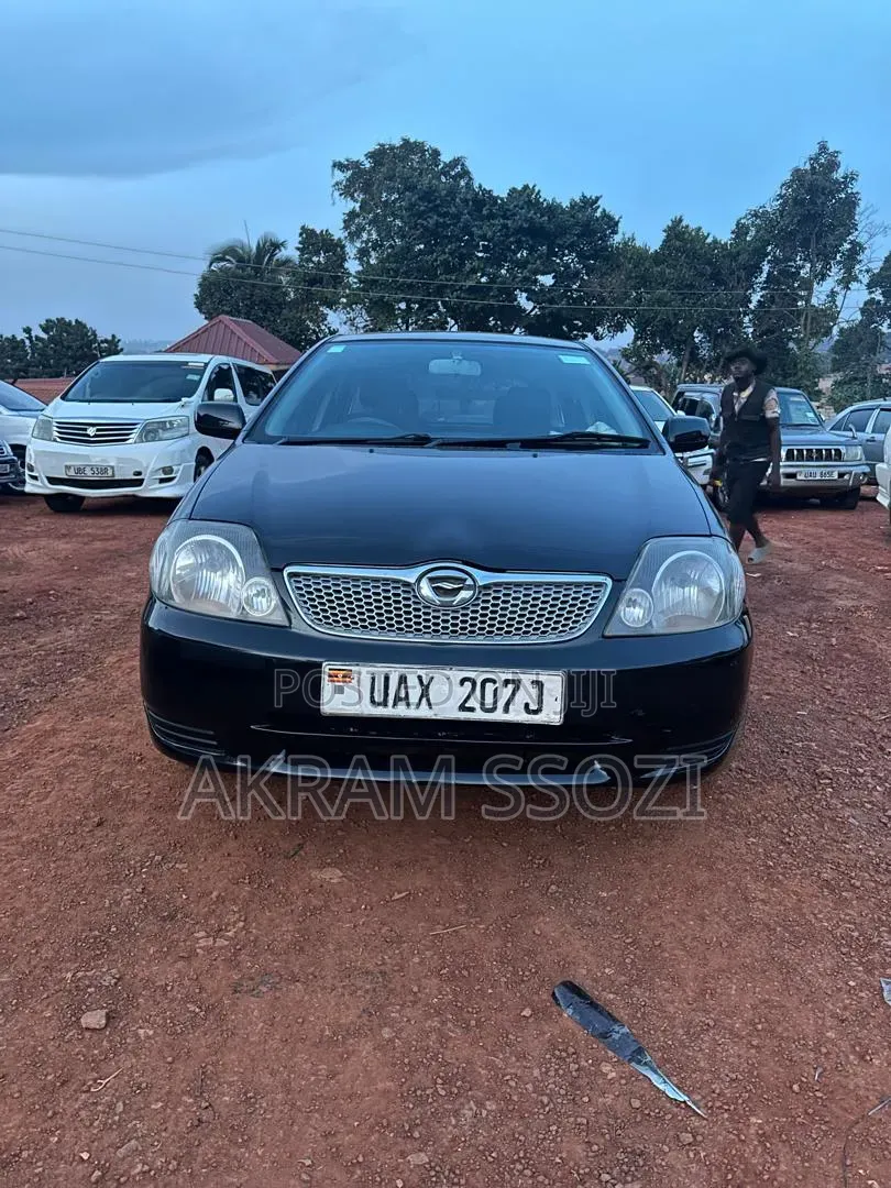 Toyota Corolla Fielder 2002 Black