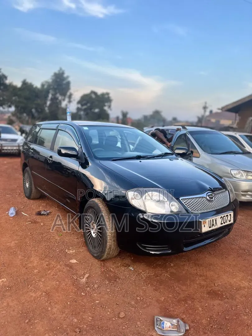 Toyota Corolla Fielder 2002 Black