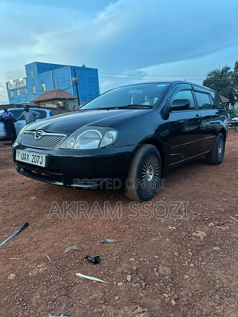 Toyota Corolla Fielder 2002 Black