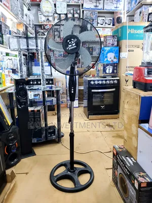 Black Panda 16-Inch Standing Fan 5 Blade