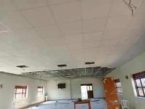 Suspended Ceiling Installed Lira 773