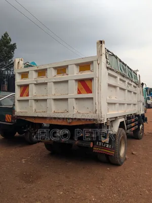 Perfect Isuzu Heavy-Duty Trucks 2004 White