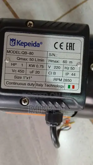 750W AC Surface Water Pump 60m Head 3,000l/H 220V