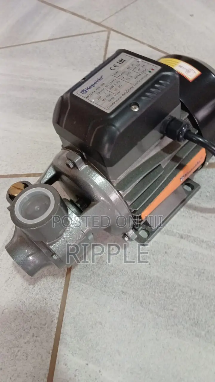 750W AC Surface Water Pump 60m Head 3,000l/H 220V