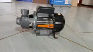 750W AC Surface Water Pump 60m Head 3,000l/H 220V