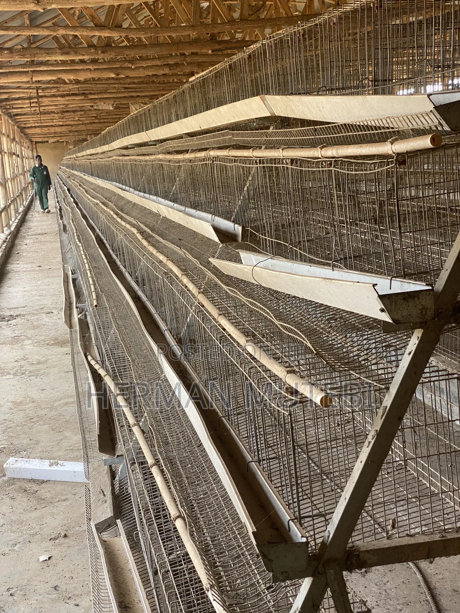 Used Hen Cages Imported