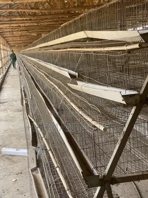 Used Hen Cages Imported