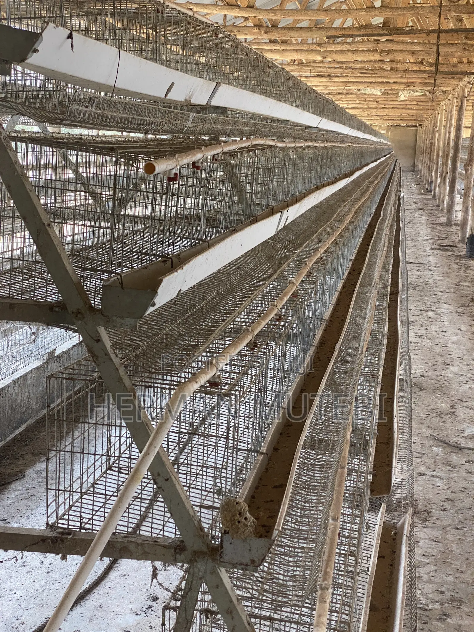 Used Hen Cages Imported