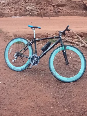 Good Sport Bicycle, American Eagle Sport