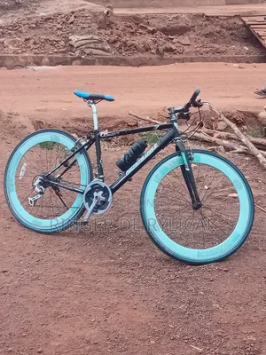 Good Sport Bicycle, American Eagle Sport