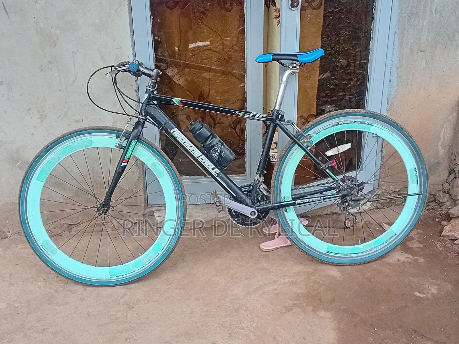 Good Sport Bicycle, American Eagle Sport