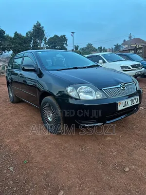 Toyota Corolla Fielder 2003 Black