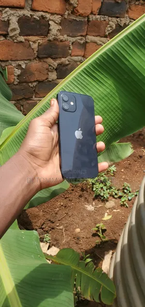 Apple iPhone 12 256 GB Blue
