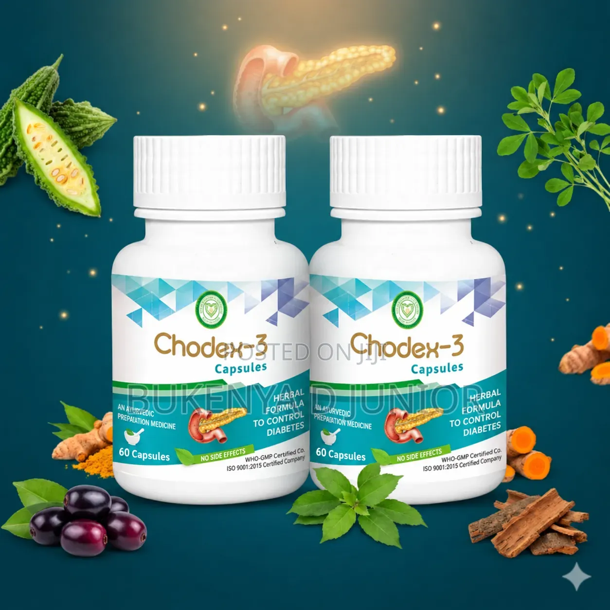 Ayurveda Chodex 3