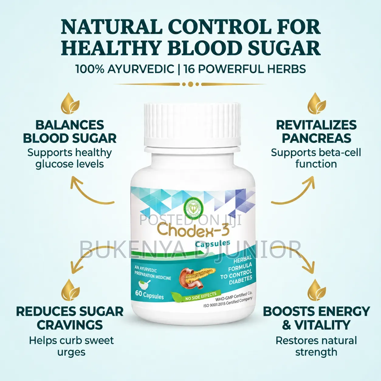 Ayurveda Chodex 3