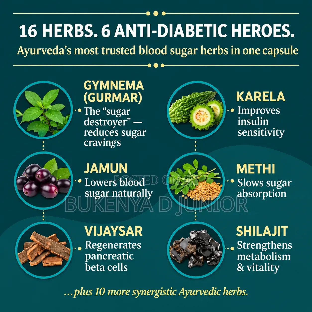 Ayurveda Chodex 3