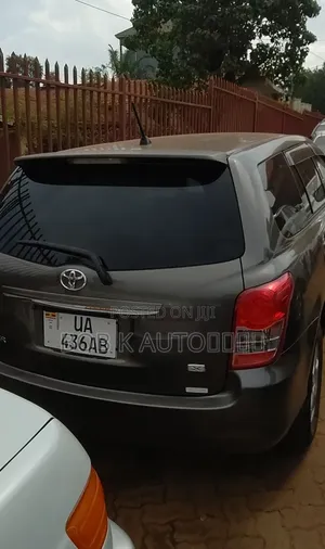 Toyota Corolla Fielder 2010 Gray