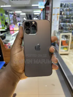 Apple iPhone 13 Pro Max 256 GB Black