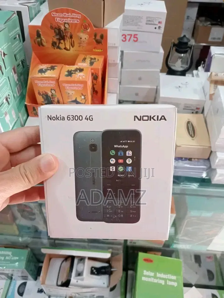 New Nokia 6300 Gray