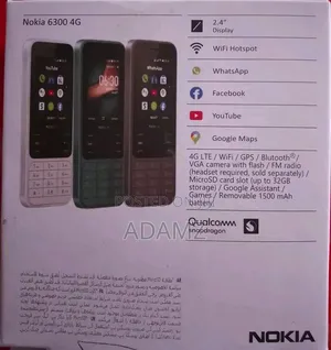 New Nokia 6300 Gray