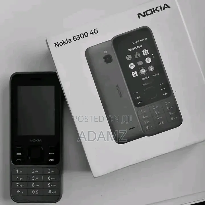 New Nokia 6300 Gray
