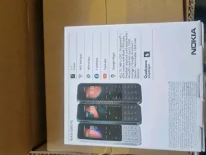 New Nokia 6300 Gray