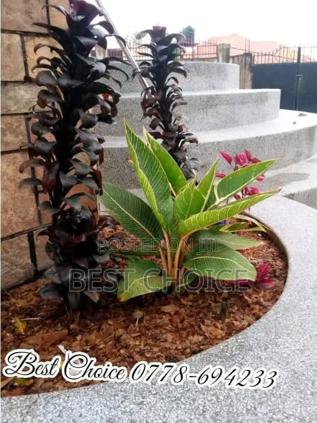 Compound Designing and Land Scaping Services, Cultivating Beauty.