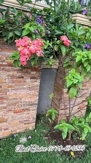 Compound Designing and Land Scaping Services, Cultivating Beauty.