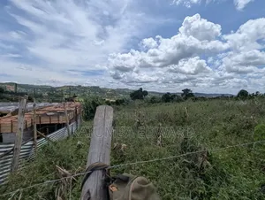 Titled Plots for Sale in Nsagu Along Nakawuka Road