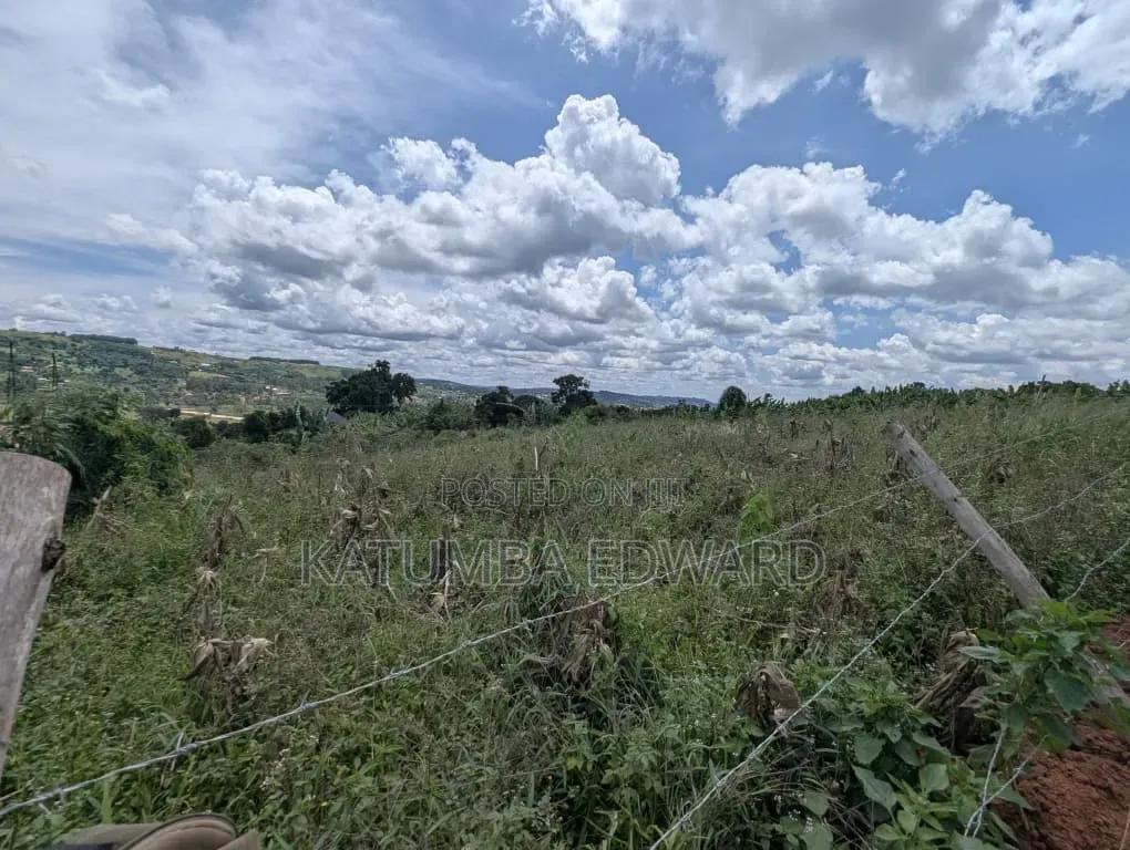 Titled Plots for Sale in Nsagu Along Nakawuka Road